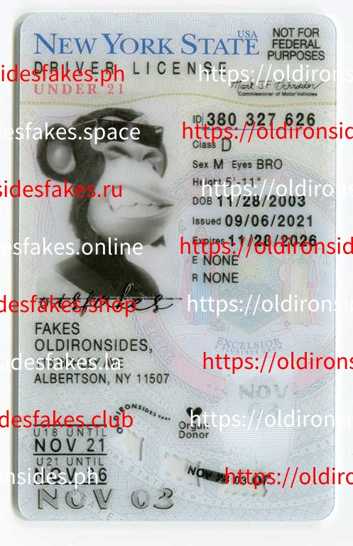 Top 5 Fake ID Providers in 2026 - Best & Fast Fake IDs