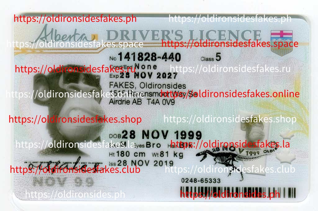 Best & Fast Fake ID Service | OIS | OldIronsidesFakes